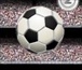 Champion Soccer 2006 - Play Free Online Games