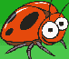 The Lady Bug - Play Free Online Games