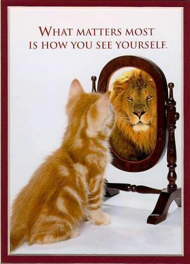 How do you see yourself? - Funny Pictures and Images