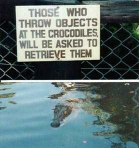 Crocodile Giver - Funny Pictures and Images