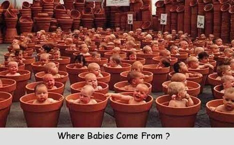 Where do babies come from? | Pictures and Images
