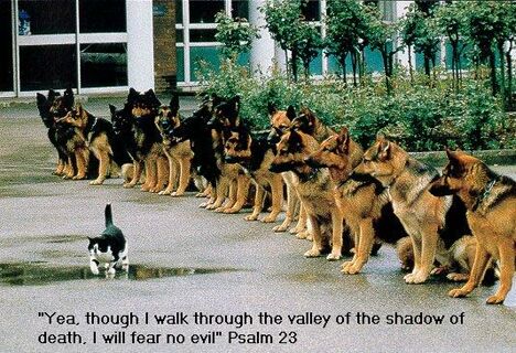 Shadow of Death - Funny Pictures and Images