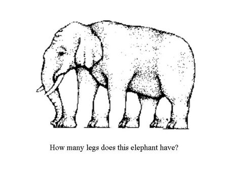 Elephant Optical Illusion - Funny Pictures and Images