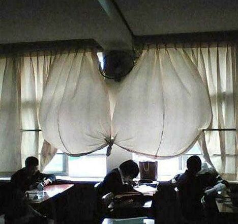 Curtains or Something else...? - Funny Pictures and Images