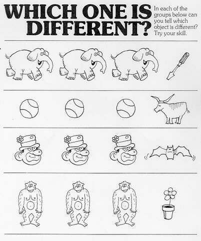 Which one is different? - Funny Pictures and Images