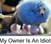 Dog's Comment On His Owner - Funny Pictures