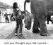 Collecting Elephant's ....... - Funny Pictures