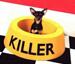 The Tiny Killer Dog - Funny Pictures
