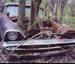 Tree Through Car - Funny Pictures