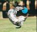 Dog Catching The Frisbee - Funny Pictures