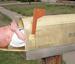 Baby Delivery - Funny Pictures