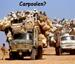 The Ultimate Carpool - Funny Pictures