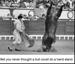 Bull Doing A Hand Stand - Funny Pictures
