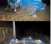 The mobile hot tub - Funny Pictures