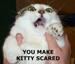 A frightened feline - Funny Pictures