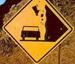 Beware of falling cows - Funny Pictures