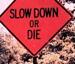 Slow Down - Funny Pictures